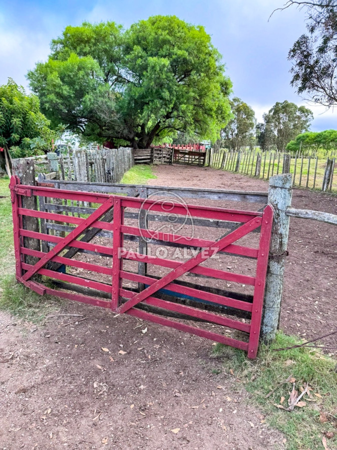 Zona Rural - GoPunta - Portal Inmobiliario de Punta del Este - Maldonado