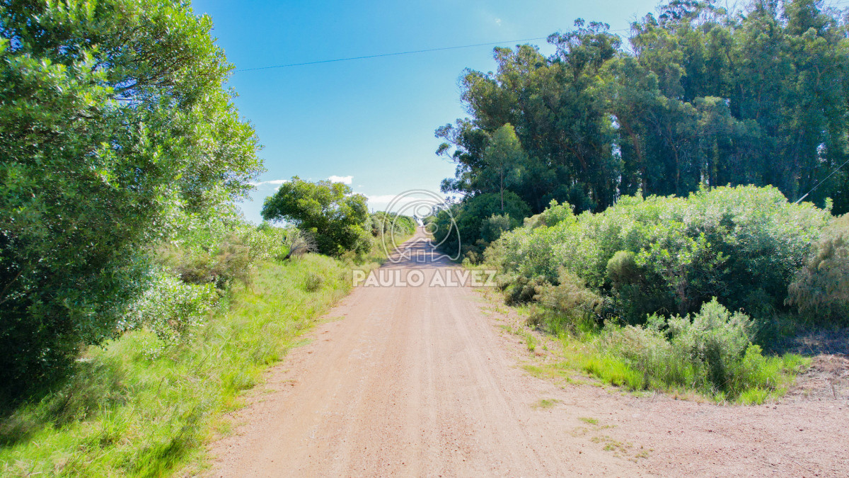 Pan de Azucar - GoPunta - Portal Inmobiliario de Punta del Este - Maldonado