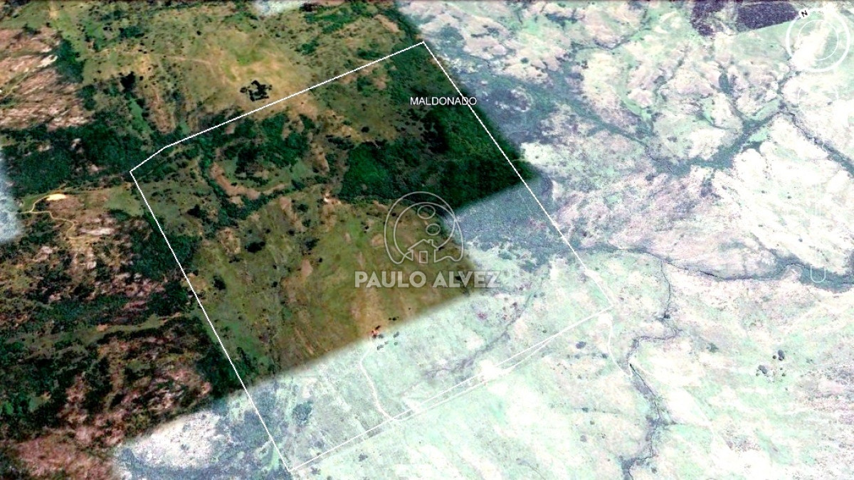 Maldonado - GoPunta - Portal Inmobiliario de Punta del Este - Maldonado