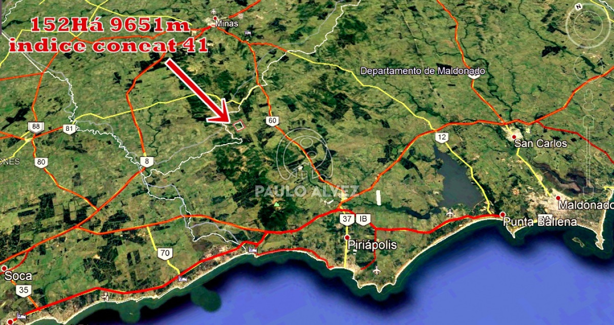 Maldonado - GoPunta - Portal Inmobiliario de Punta del Este - Maldonado
