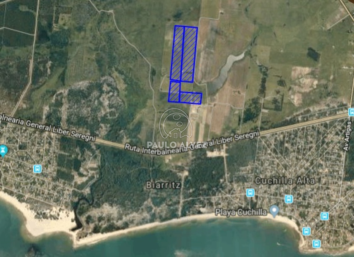 Soca - GoPunta - Portal Inmobiliario de Punta del Este - Maldonado