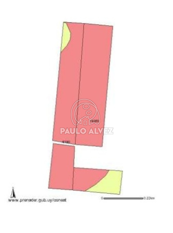 Soca - GoPunta - Portal Inmobiliario de Punta del Este - Maldonado