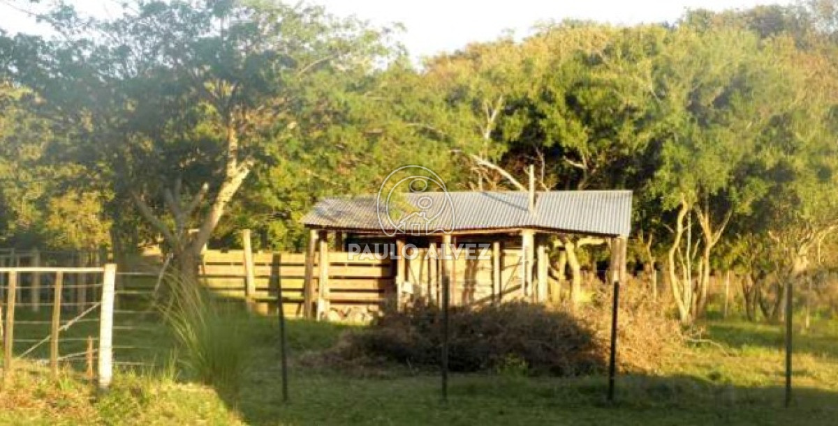 Soca - GoPunta - Portal Inmobiliario de Punta del Este - Maldonado