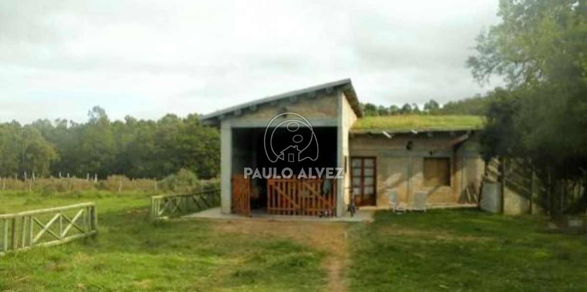 Soca - GoPunta - Portal Inmobiliario de Punta del Este - Maldonado