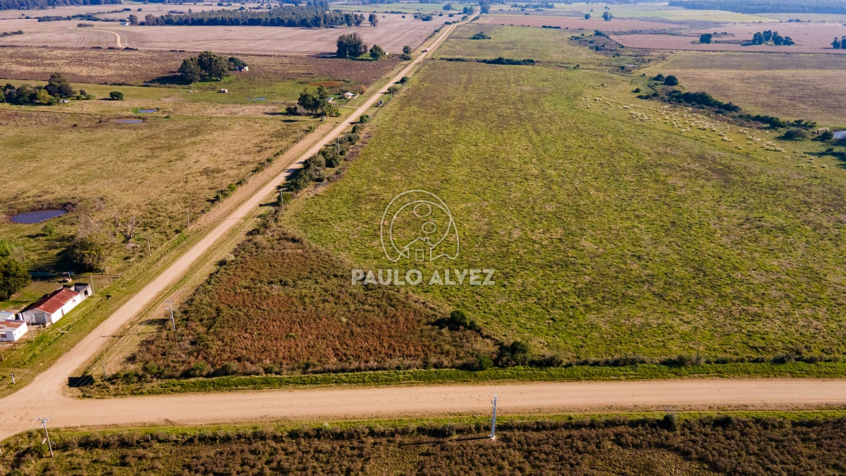 Zona Rural - GoPunta - Portal Inmobiliario de Punta del Este - Maldonado
