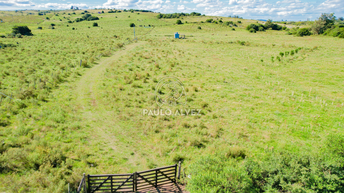 Pan de Azucar - GoPunta - Portal Inmobiliario de Punta del Este - Maldonado