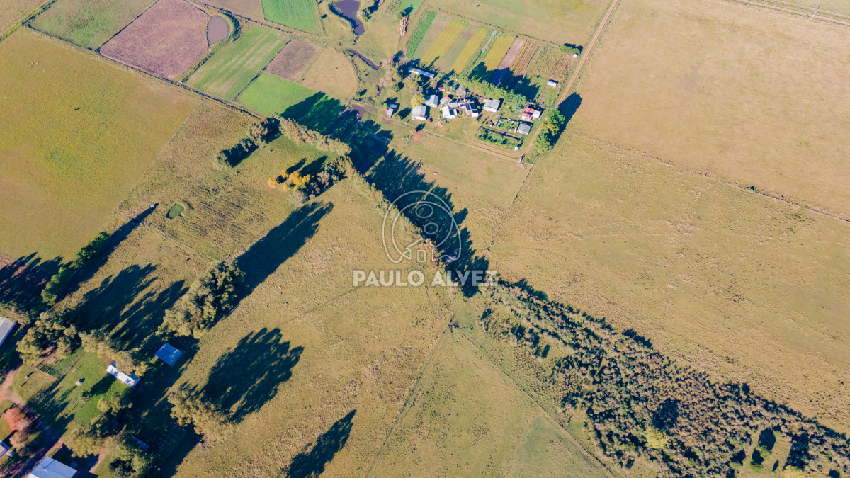 Ruta - GoPunta - Portal Inmobiliario de Punta del Este - Maldonado