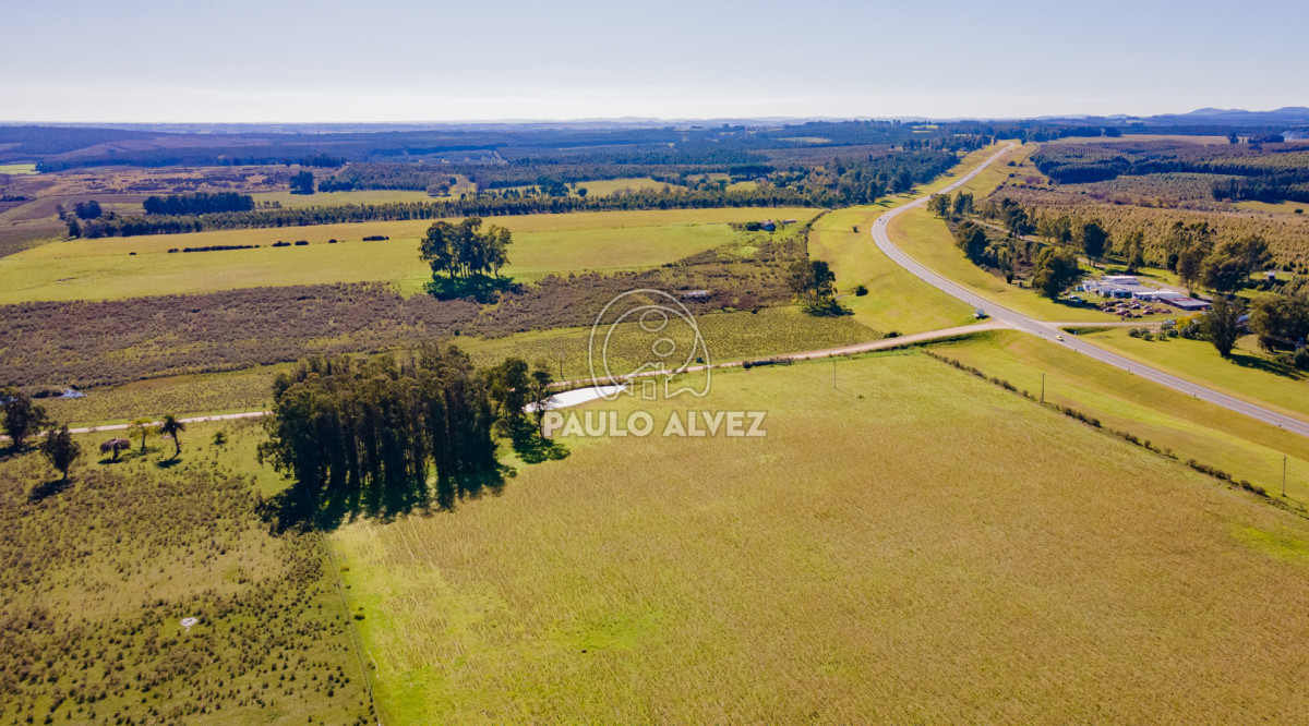 Aguas Blancas - GoPunta - Portal Inmobiliario de Punta del Este - Maldonado
