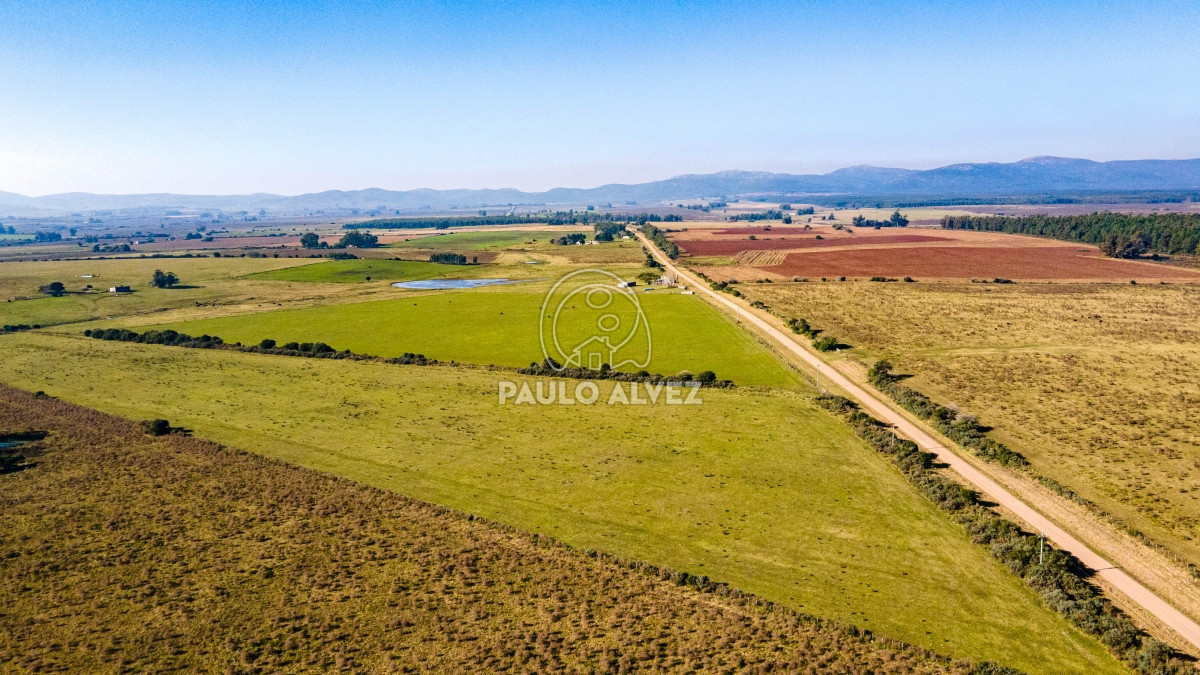 Zona Rural - GoPunta - Portal Inmobiliario de Punta del Este - Maldonado