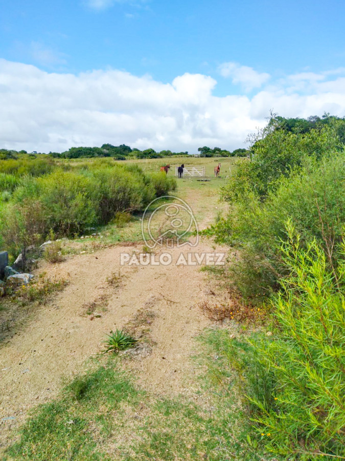 Cerro Pan de Azucar - GoPunta - Portal Inmobiliario de Punta del Este - Maldonado