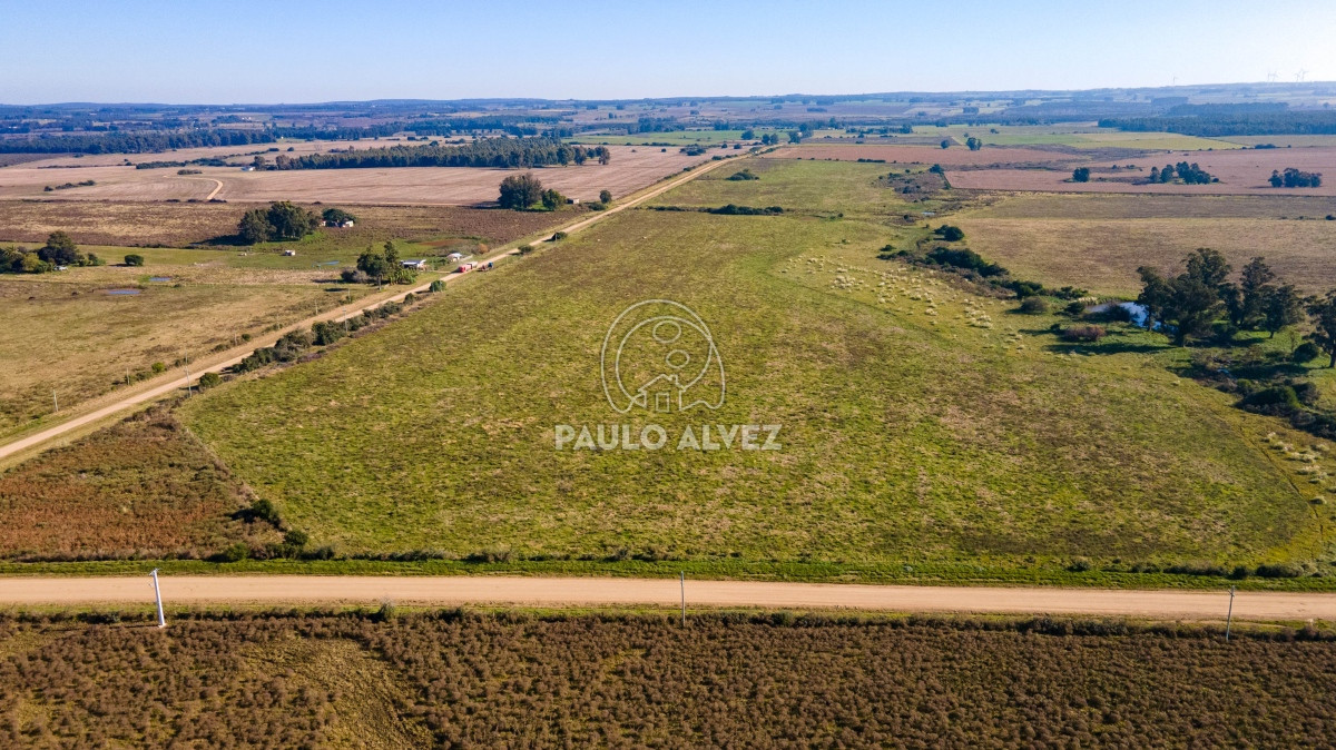 Zona Rural - GoPunta - Portal Inmobiliario de Punta del Este - Maldonado