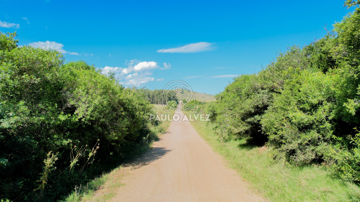Pan de Azucar - GoPunta - Portal Inmobiliario de Punta del Este - Maldonado