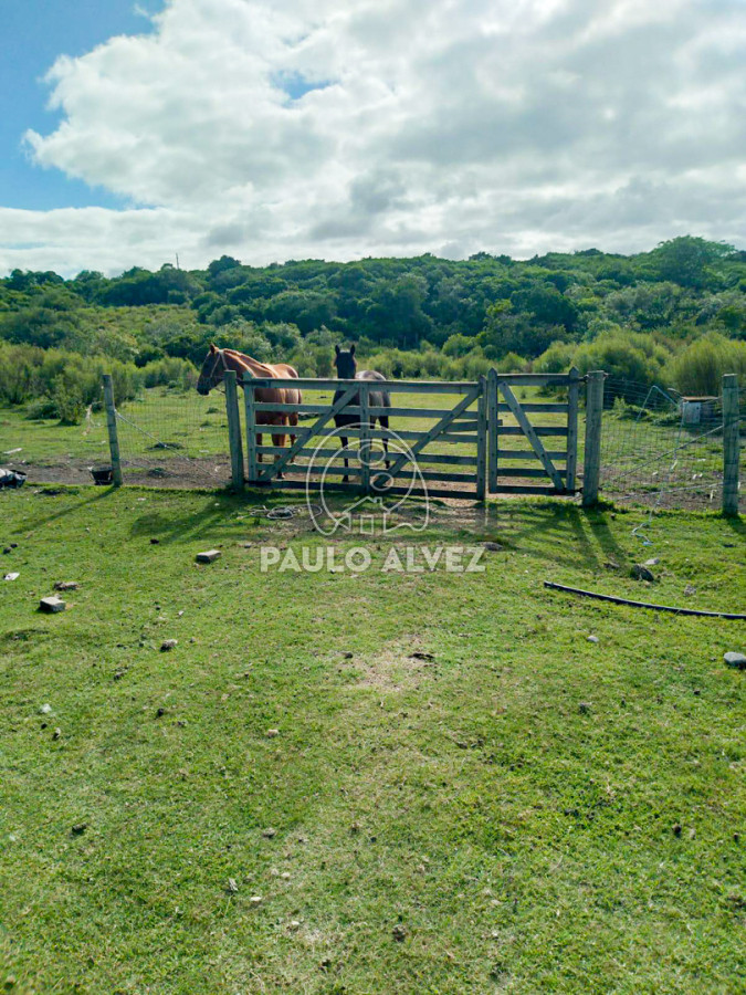 Cerro Pan de Azucar - GoPunta - Portal Inmobiliario de Punta del Este - Maldonado