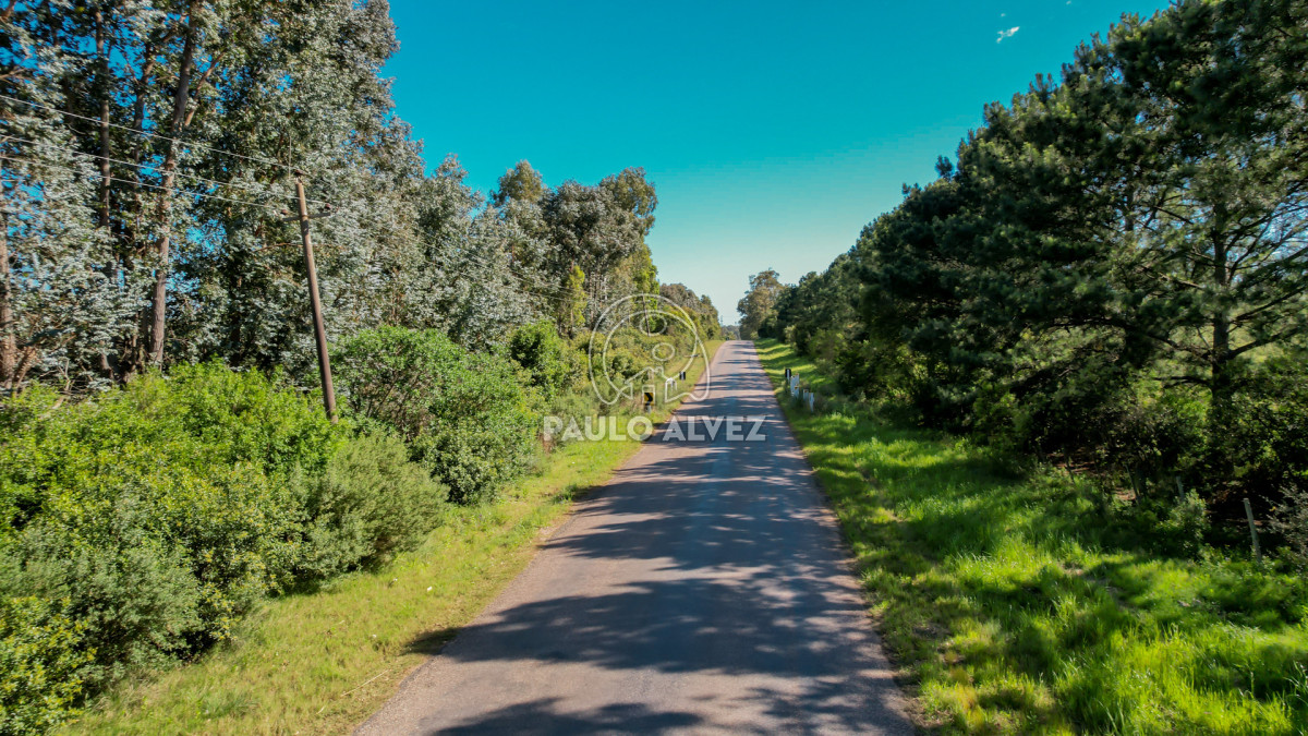 Punta Colorada - GoPunta - Portal Inmobiliario de Punta del Este - Maldonado