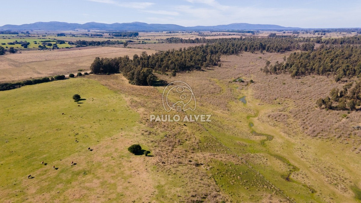Pan de Azucar - GoPunta - Portal Inmobiliario de Punta del Este - Maldonado