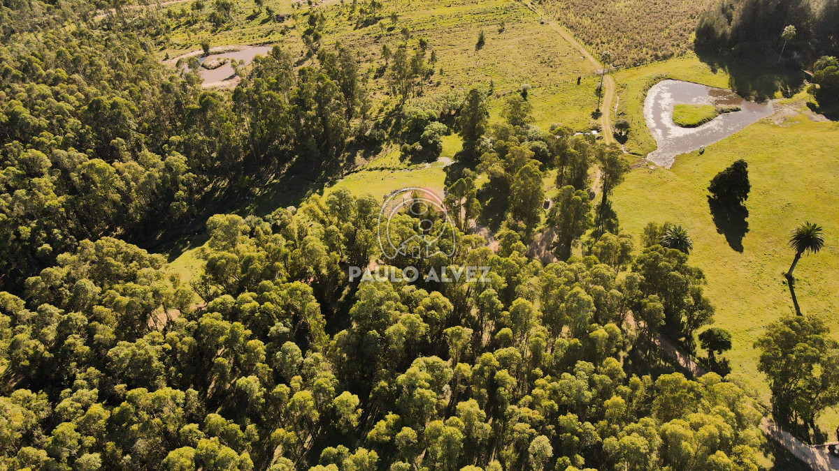 Cerros Azules - GoPunta - Portal Inmobiliario de Punta del Este - Maldonado