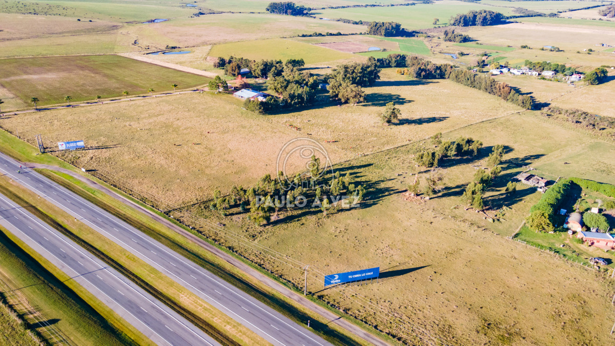 Ruta - GoPunta - Portal Inmobiliario de Punta del Este - Maldonado