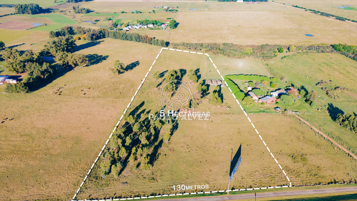 Ruta - GoPunta - Portal Inmobiliario de Punta del Este - Maldonado