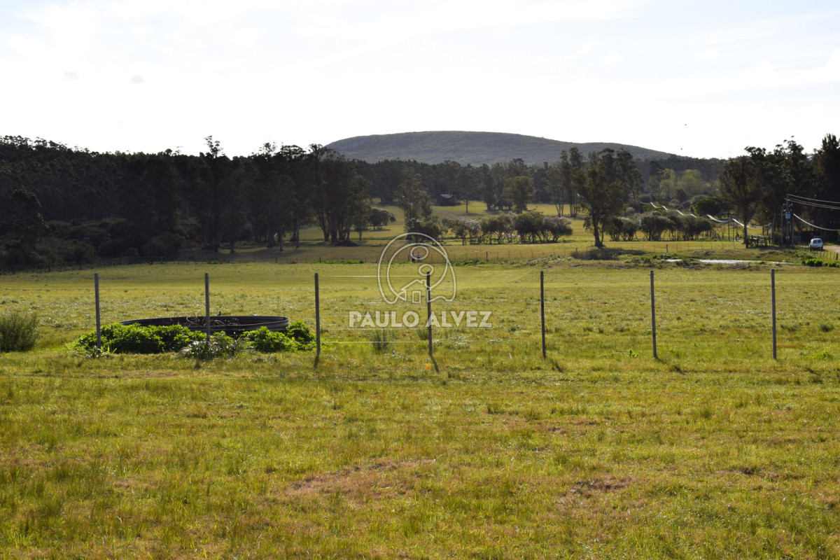 Zona Rural - GoPunta - Portal Inmobiliario de Punta del Este - Maldonado