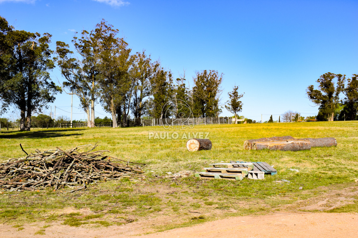 Zona Rural - GoPunta - Portal Inmobiliario de Punta del Este - Maldonado