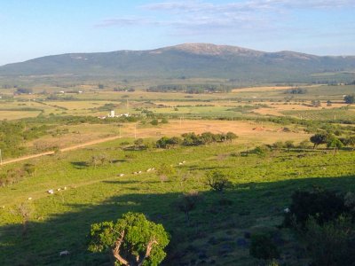 Entorno tranquilo, rodeado de naturaleza 