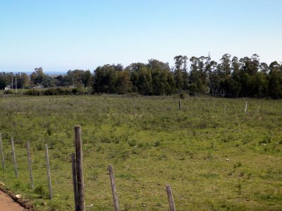 Ch063- Chacra con vista a las sierras y con acceso a ruta Inter balnearia. 