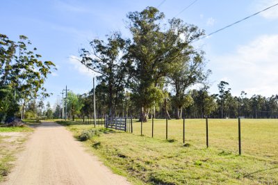ch270- Chacra en venta con vista hermosa a las Sierras, un lugar ideal para vivir todo el año o para comenzar tu proyecto de vida. 
