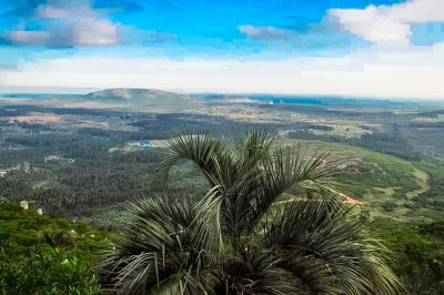 Ch241. Chacra a 1000 metros del mar y vista hermosa a los cerros. Consúltanos por mas información. 