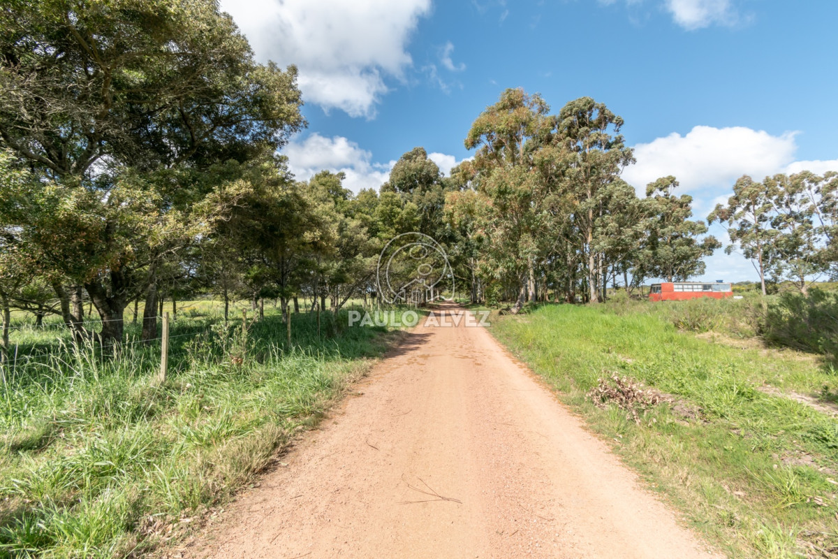 Barra Portezuelo - GoPunta - Portal Inmobiliario de Punta del Este - Maldonado