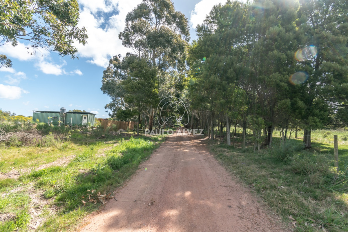 Barra Portezuelo - GoPunta - Portal Inmobiliario de Punta del Este - Maldonado