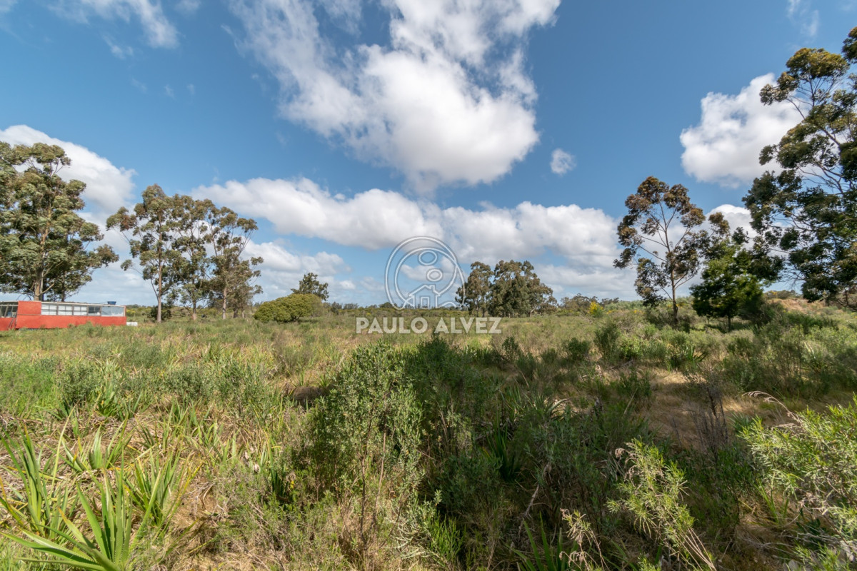 Barra Portezuelo - GoPunta - Portal Inmobiliario de Punta del Este - Maldonado