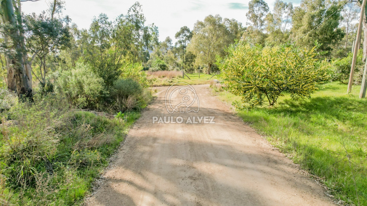 Punta Colorada - GoPunta - Portal Inmobiliario de Punta del Este - Maldonado