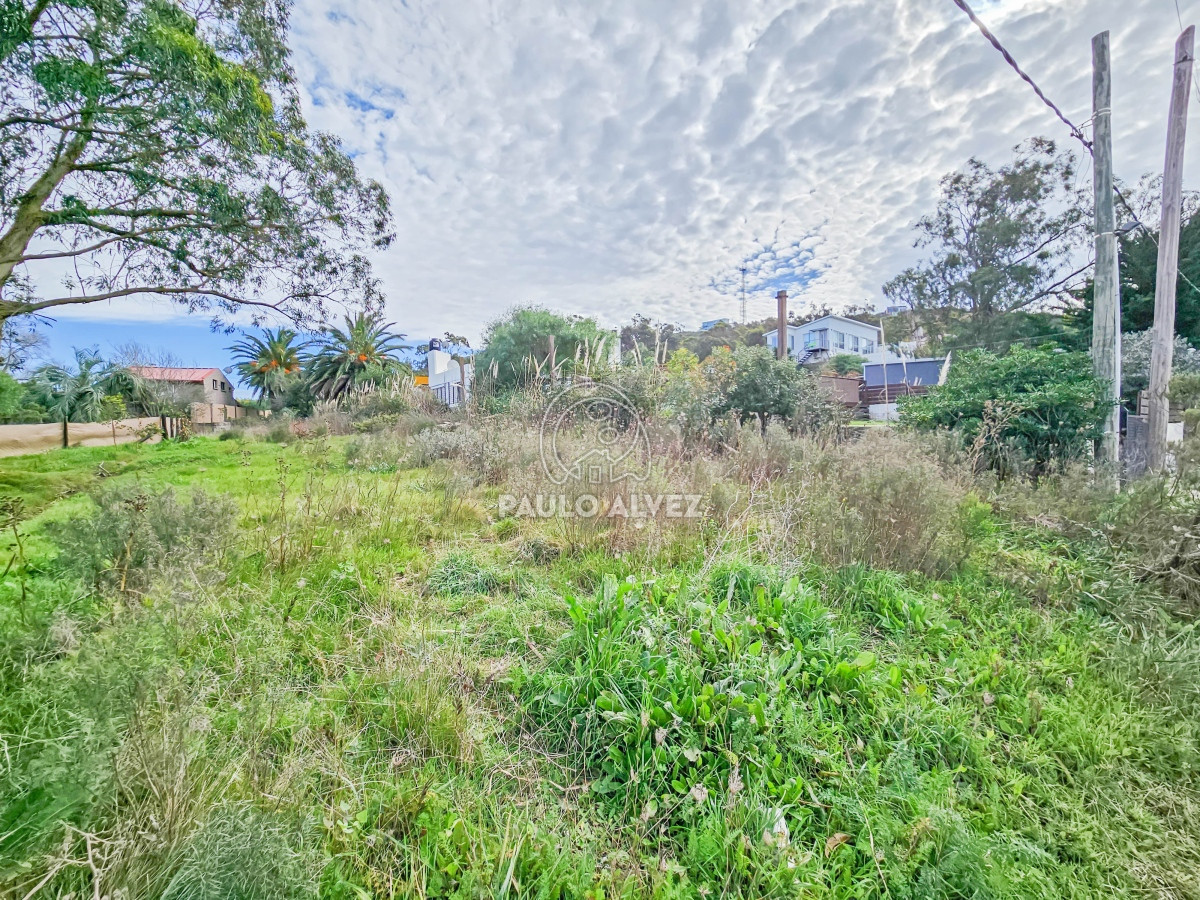 Punta Fria - GoPunta - Portal Inmobiliario de Punta del Este - Maldonado