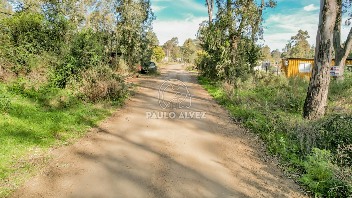 Punta Colorada - GoPunta - Portal Inmobiliario de Punta del Este - Maldonado