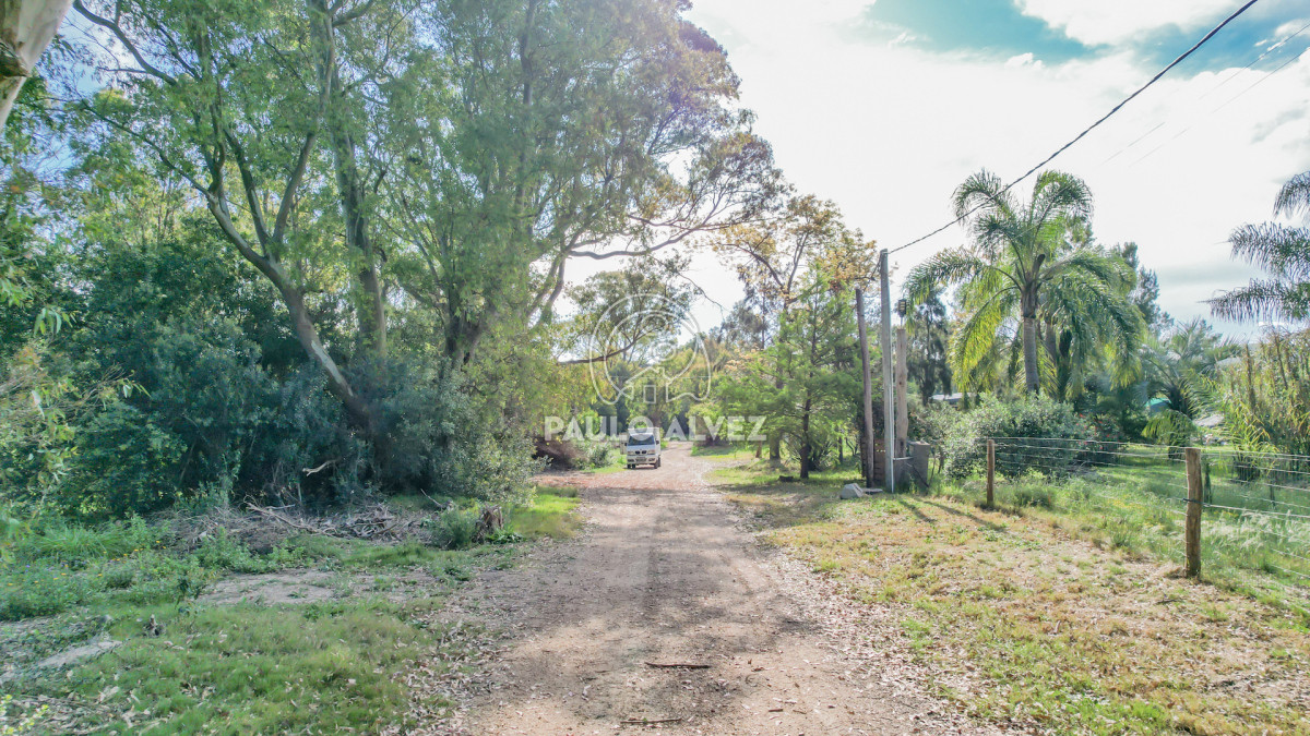 Punta Colorada - GoPunta - Portal Inmobiliario de Punta del Este - Maldonado