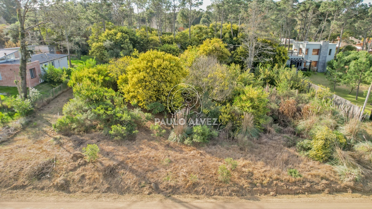 Punta Colorada - GoPunta - Portal Inmobiliario de Punta del Este - Maldonado