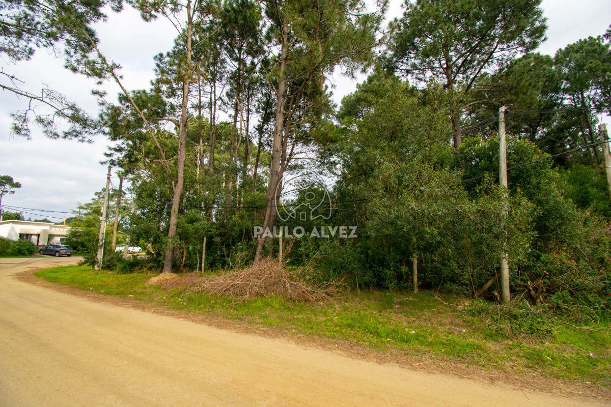 Country - GoPunta - Portal Inmobiliario de Punta del Este - Maldonado
