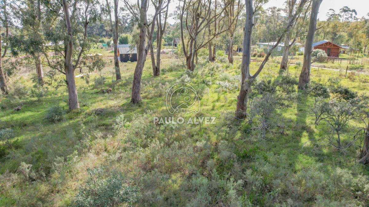 Punta Colorada - GoPunta - Portal Inmobiliario de Punta del Este - Maldonado