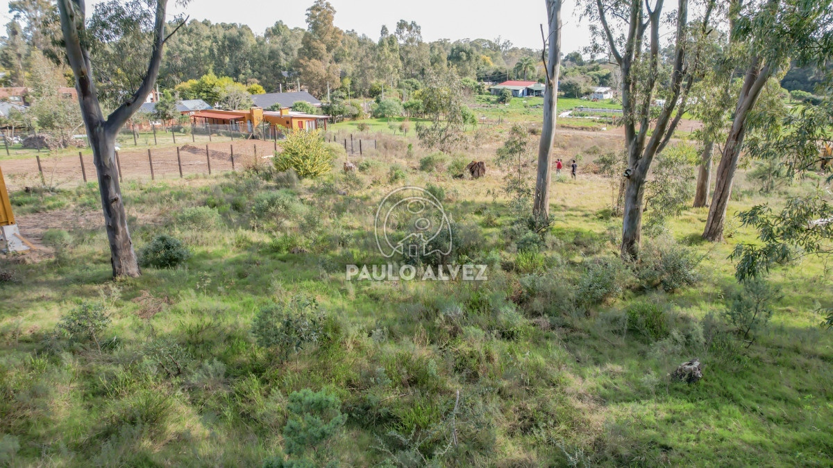 Punta Colorada - GoPunta - Portal Inmobiliario de Punta del Este - Maldonado