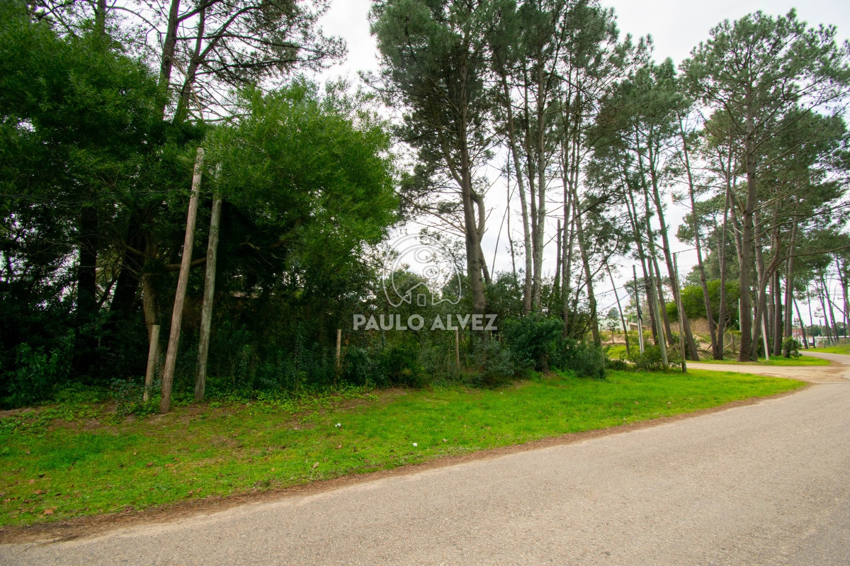 Country - GoPunta - Portal Inmobiliario de Punta del Este - Maldonado