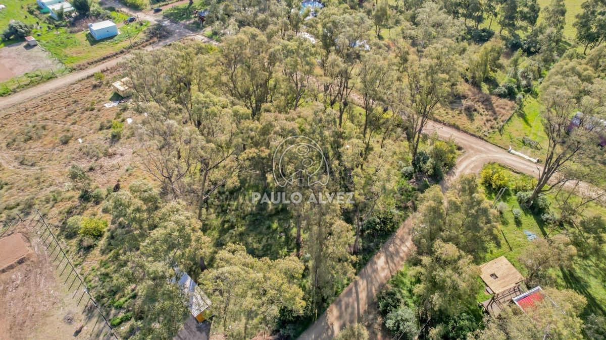 Punta Colorada - GoPunta - Portal Inmobiliario de Punta del Este - Maldonado