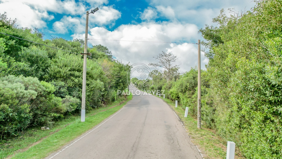 Cerro San Antonio - GoPunta - Portal Inmobiliario de Punta del Este - Maldonado