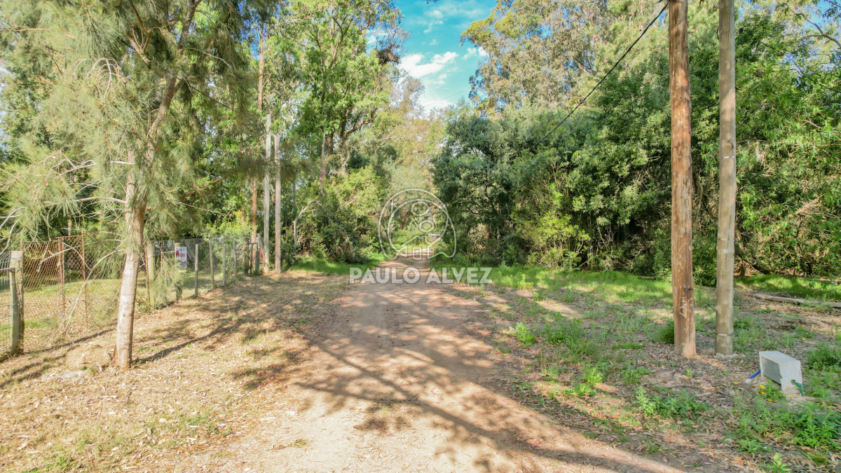 Punta Colorada - GoPunta - Portal Inmobiliario de Punta del Este - Maldonado