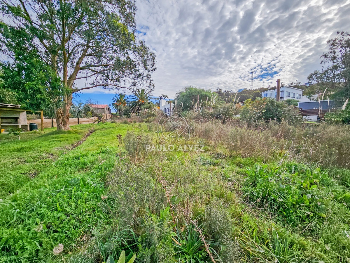 Punta Fria - GoPunta - Portal Inmobiliario de Punta del Este - Maldonado