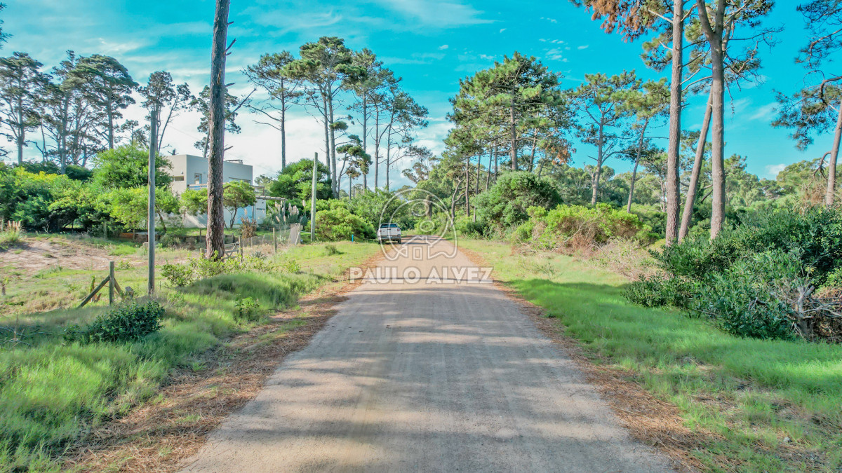 Punta Colorada - GoPunta - Portal Inmobiliario de Punta del Este - Maldonado
