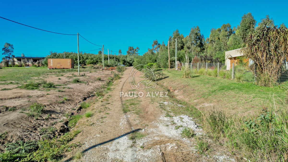 Punta Colorada - GoPunta - Portal Inmobiliario de Punta del Este - Maldonado
