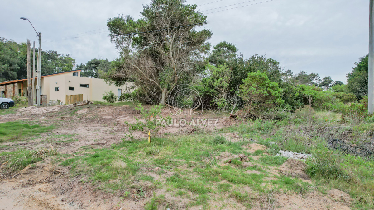 Punta Colorada - GoPunta - Portal Inmobiliario de Punta del Este - Maldonado