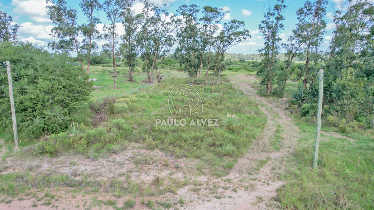 Punta Colorada - GoPunta - Portal Inmobiliario de Punta del Este - Maldonado