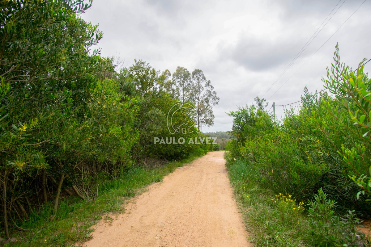 Sierras del Tirol - GoPunta - Portal Inmobiliario de Punta del Este - Maldonado