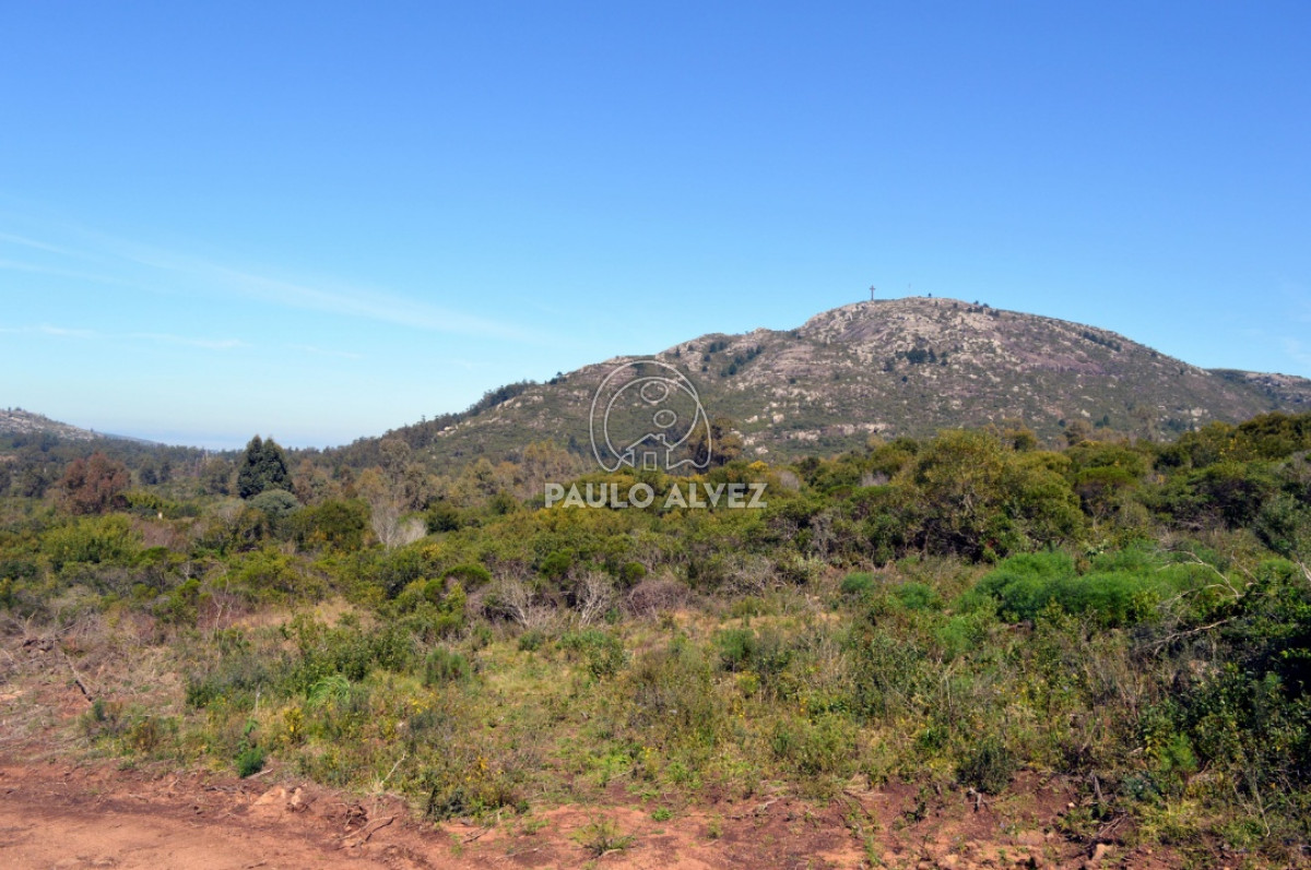 Piriápolis - GoPunta - Portal Inmobiliario de Punta del Este - Maldonado